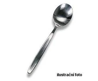 Autentický Lžička čajová, nerezová
