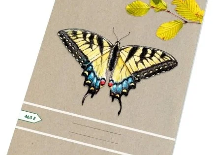 Sešit A4 čtverečkovaný 465 Ecology, 60listů Dokud Zásoby Vydrží