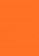 Autentický Etiketa A4signální oranžová 210x297mm