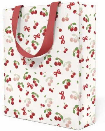 Oblíbený Papírová taška Anna Style TP3 265 velká