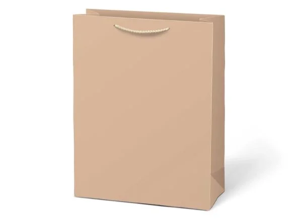 taška dárková T 5 kraft 260x320x100 béžová 5252946 Hit Sezóny