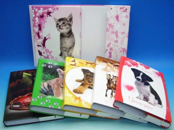 Box školní A4 11003/ MIX Časově Omezené